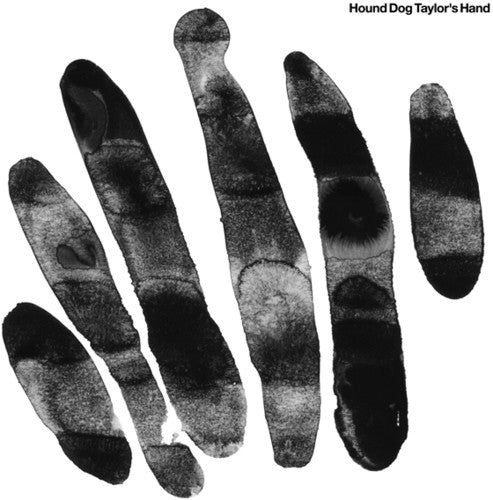 Hound Dog Taylor - Hound Dog Taylor's Hand { vinyl }