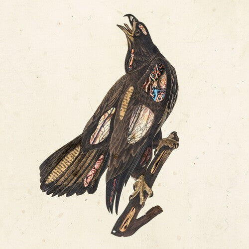 Clutch - Book Of Bad Decisions { vinyl }