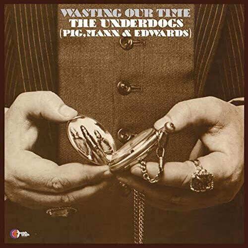 The Underdogs - Wasting Our Time { vinyl }