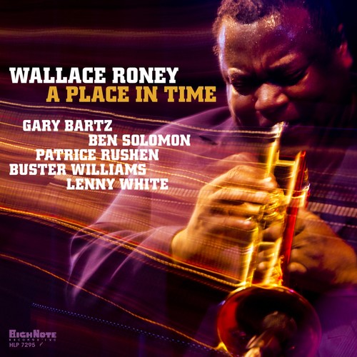 Wallace Roney - A Place In Time { vinyl }