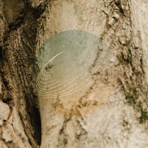 Field Works - Maples, Ash, and Oaks: Cedars Instrumentals { vinyl }
