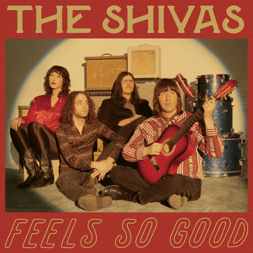 The Shivas - Feels So Good / Feels So Bad { vinyl }