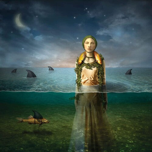 The Bled - Found In The Flood { vinyl }