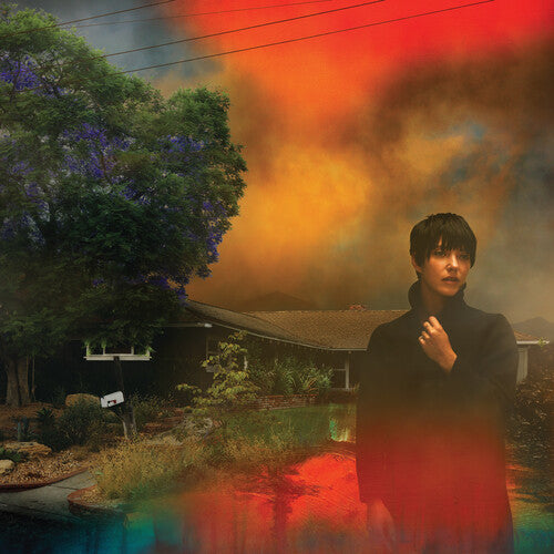 Sharon Van Etten - We've Been Going About This All Wrong - Custard { vinyl }