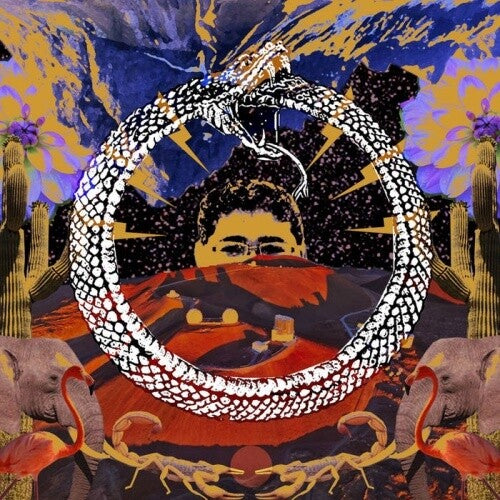 Stone House on Fire - Neverending Cycle { vinyl }