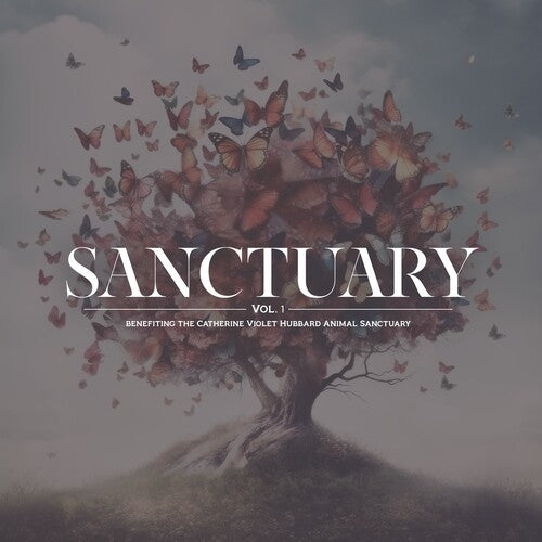 Various Artists - Sanctuary Vol. 1 (Various Artists) { vinyl }