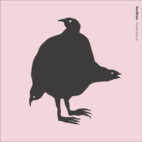 Ane Brun - Rarities 2 { vinyl }