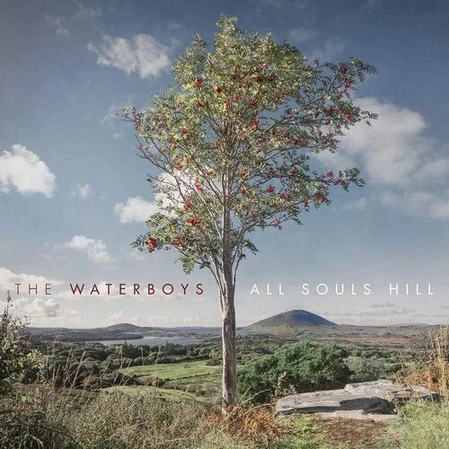 The Waterboys - All Souls Hill { vinyl }