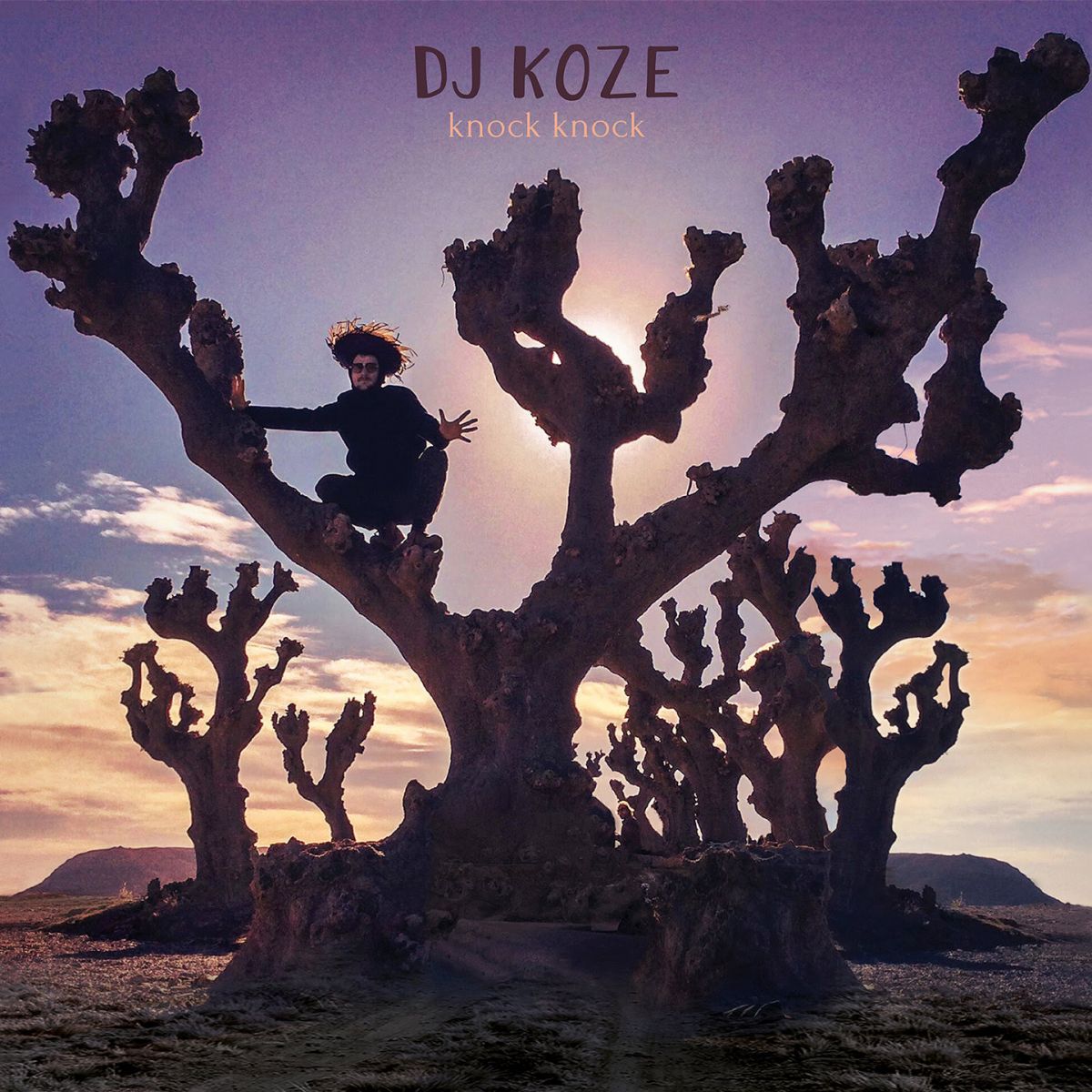 DJ Koze - Knock Knock - Vinyl LP Record { vinyl }