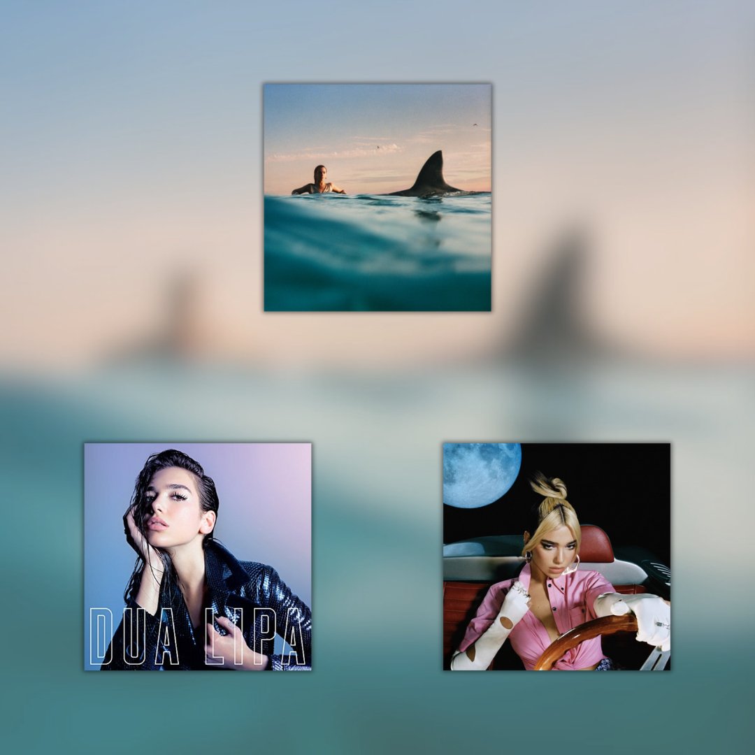 Dua Lipa - Vinyl LP Record Bundle { vinyl }
