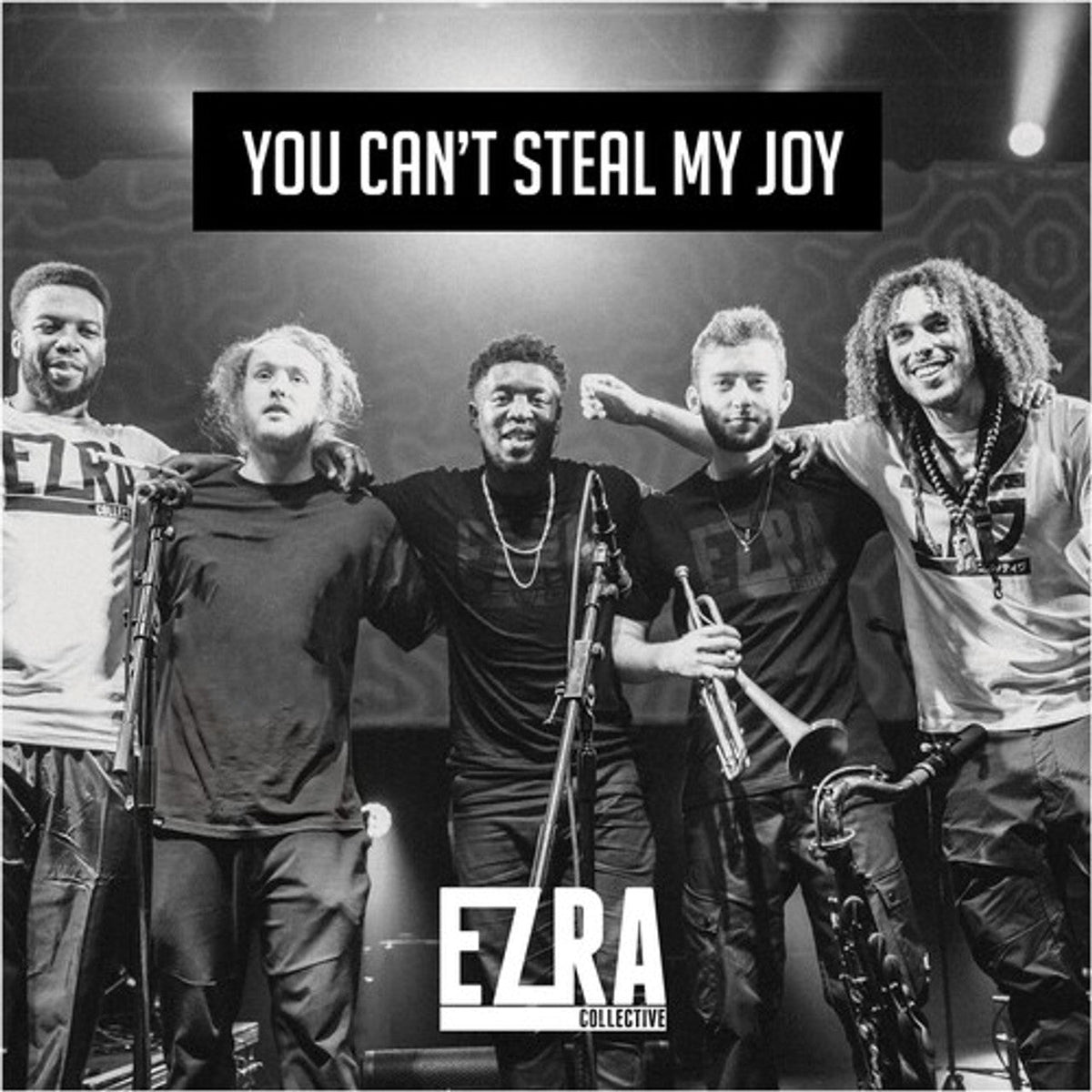 Ezra Collective - You Can’t Steal My Joy - Vinyl LP Record { vinyl }