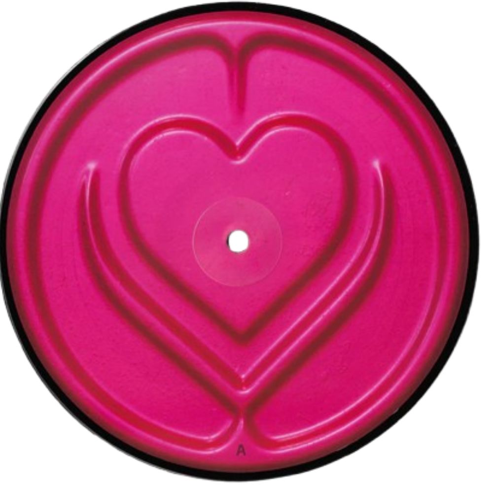 Lady Gaga - Stupid Love - Picture Disc Vinyl 7" Single { vinyl }