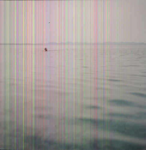 Blue Cranes - Swim { vinyl }