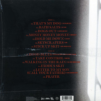 DMX - Exodus (Vinyl LP) { vinyl }