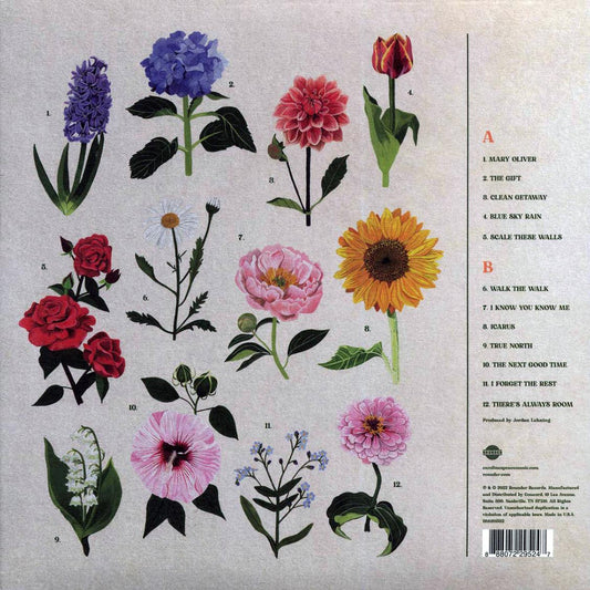 Caroline Spence – True North (Vinyl LP) { vinyl }