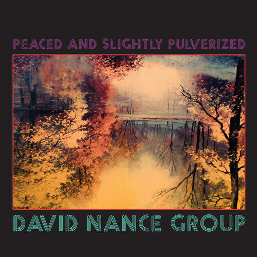 David Group Nance - PEACED & SLIGHTLY PULVERIZED { vinyl }