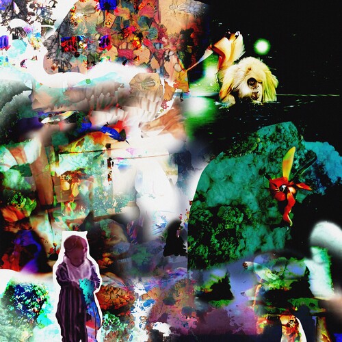 Acidhead - Distractions { vinyl }