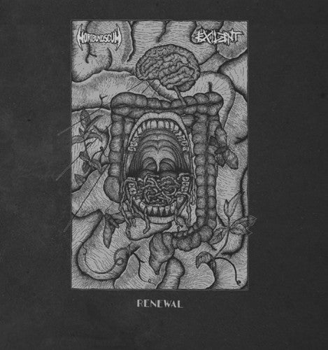 Exilent - Renewal (Split) { vinyl }