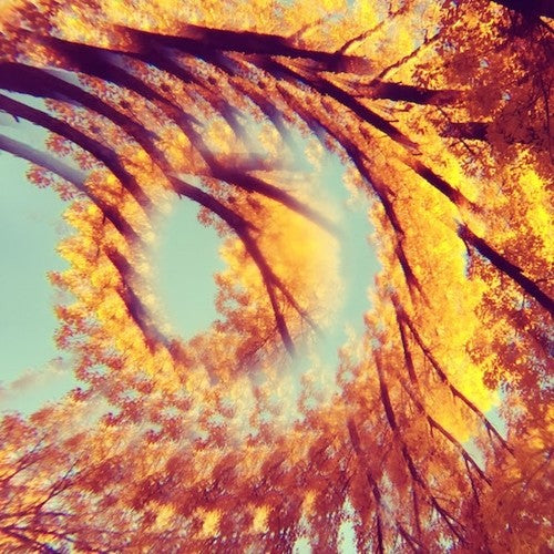 A Hawk and a Hacksaw - Forest Bathing { vinyl }