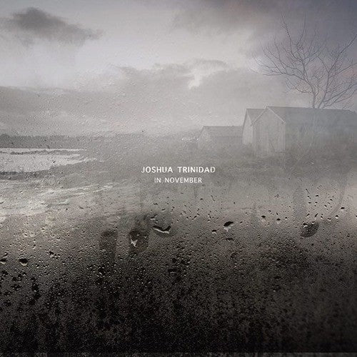 Joshua Trinidad - In November { vinyl }