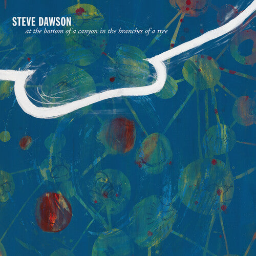 Steve Dawson - At The Bottom Of A Canyon In The Branches Of Tree { vinyl }