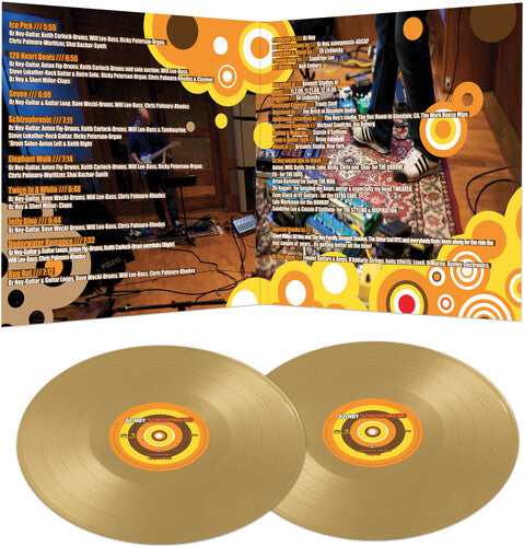 Oz Noy - Schizophrenic - Gold { vinyl }