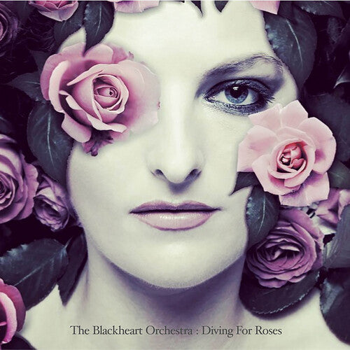 The Blackheart Orchestra - Diving For Roses { vinyl }
