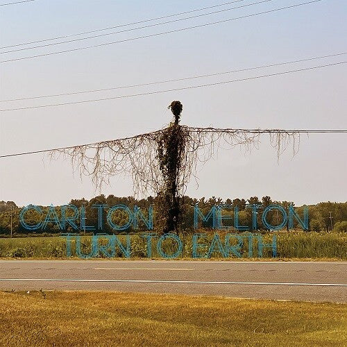 Carlton Melton - Turn To Earth { vinyl }