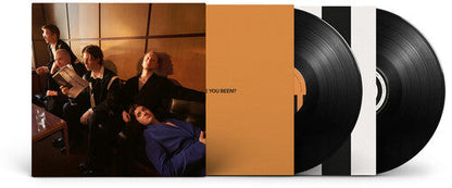 Giant Rooks - How Have You Been? { vinyl }