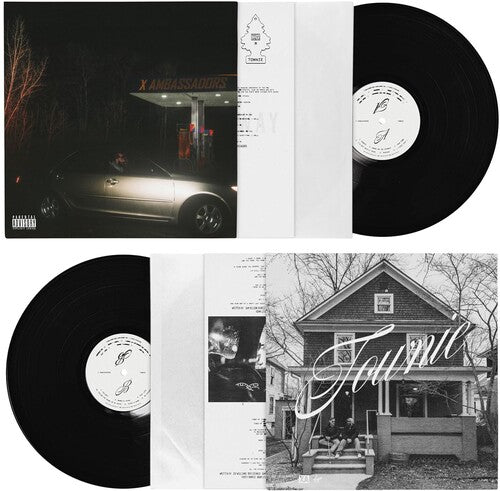 X Ambassadors - Townie { vinyl }