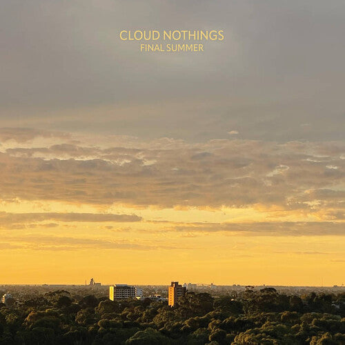 Cloud Nothings - Final Summer { vinyl }
