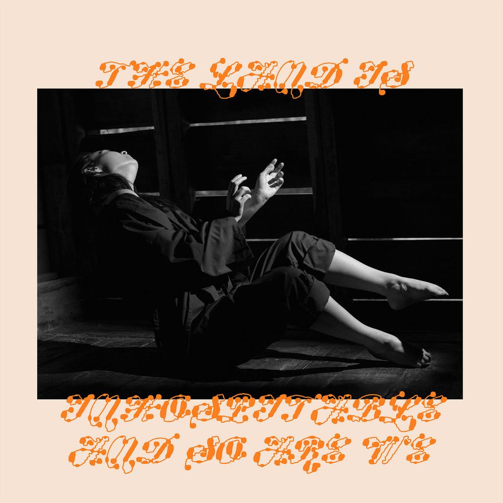 Mitski - The Land Is Inhospitable And So Are We (Vinyl LP) { vinyl }