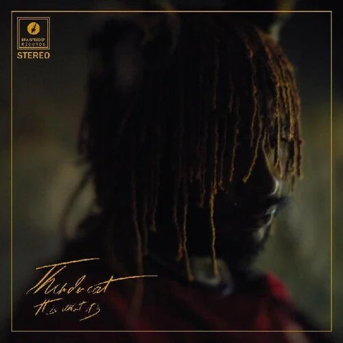Thundercat - It Is What It Is { vinyl }