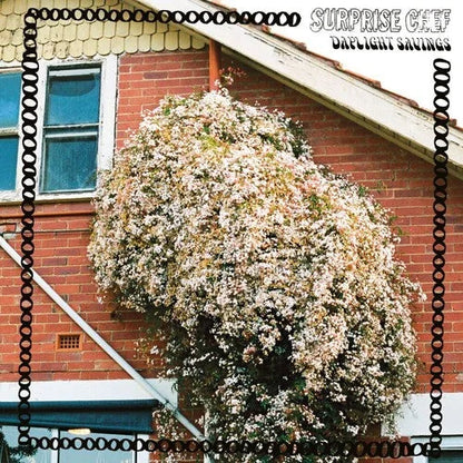 Surprise Chef - Daylight Savings { vinyl }