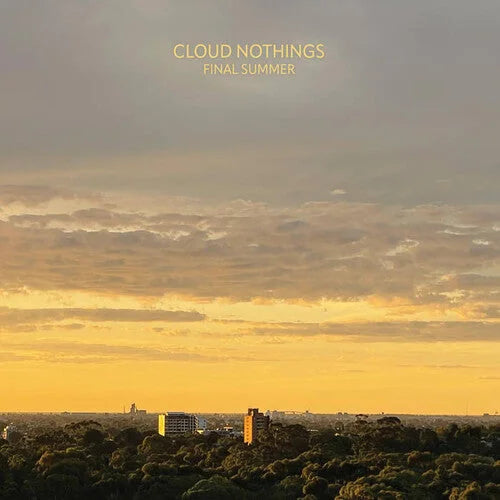 Cloud Nothings - Final Summer { vinyl }