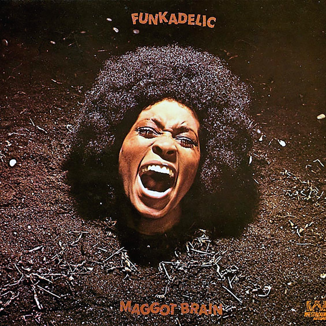 Funkadelic - Maggot Brain (LP Vinyl Record) { vinyl }