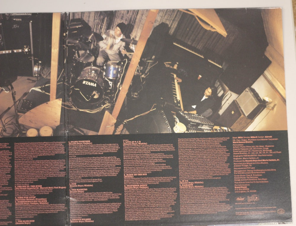 Beastie Boys - Check Your Head (First Pressing 1992) Vinyl Record { vinyl }