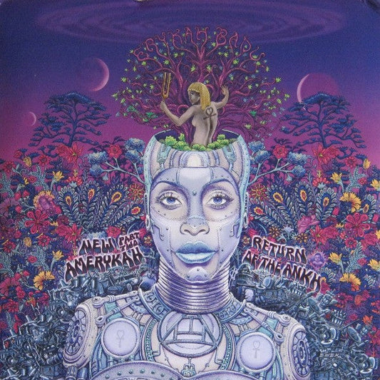 Erykah Badu - New Amerykah Part Two (Return Of The Ankh) (Vinyl 2LP) { vinyl }