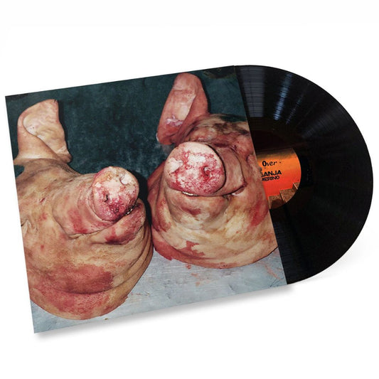 Armand Hammer and The Alchemist - Haram - Vinyl LP Record { vinyl }