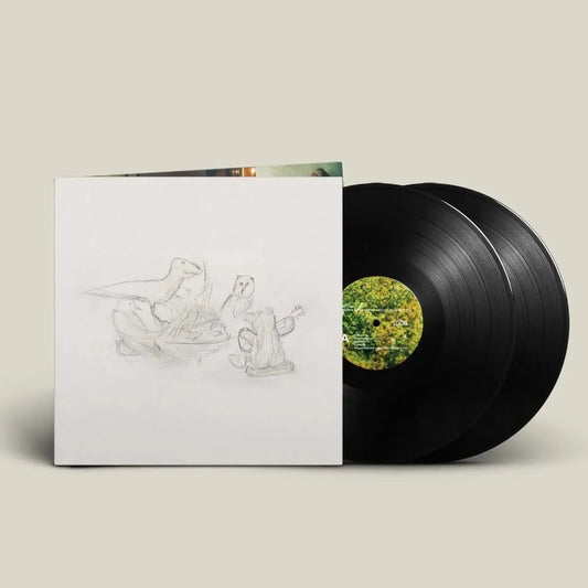 Big Thief - Dragon New Warm Mountain I Believe In You - Vinyl LP Record { vinyl }