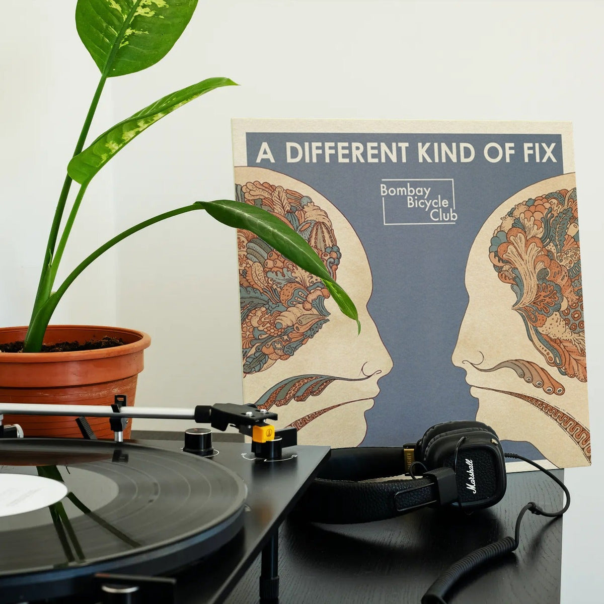 Bombay Bicycle Club - A Different Kind of Fix - Vinyl LP Record { vinyl }