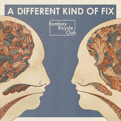 Bombay Bicycle Club - A Different Kind of Fix - Vinyl LP Record { vinyl }
