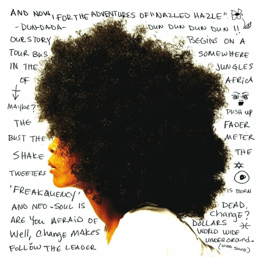 Erykah Badu - Worldwide Underground - Vinyl LP Record { vinyl }