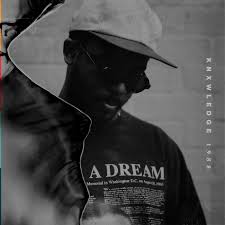 Knxwledge - 1988 - Orchid & Black Vinyl LP Record { vinyl }