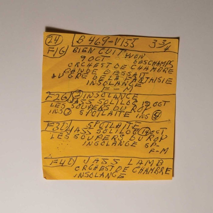 Mac Demarco - Here Comes The Cowboy Demos - Vinyl LP Record { vinyl }