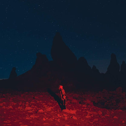 Phoebe Bridgers - Punisher - Vinyl LP Record { vinyl }