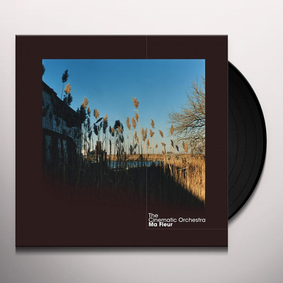 The Cinematic Orchestra - Ma Fleur - Vinyl LP Record { vinyl }