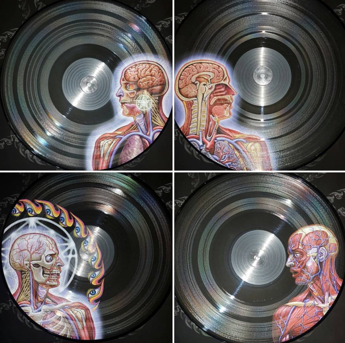 Tool - Lateralus - Limited Edition Picture Disc Vinyl LP Record { vinyl }
