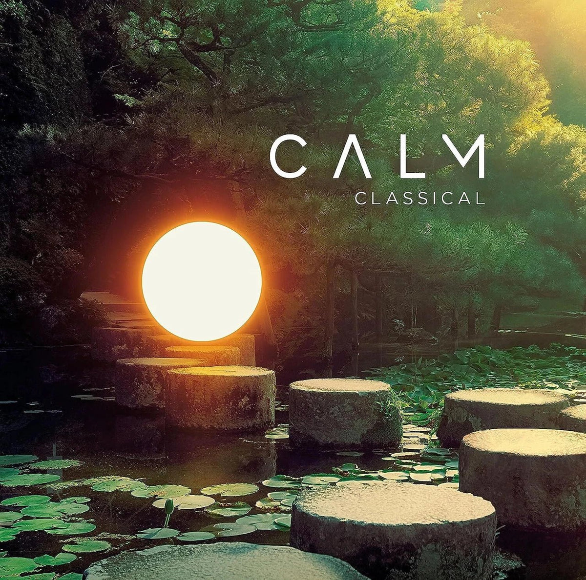 Various Artists - Calm Classical - Vinyl LP Record { vinyl }