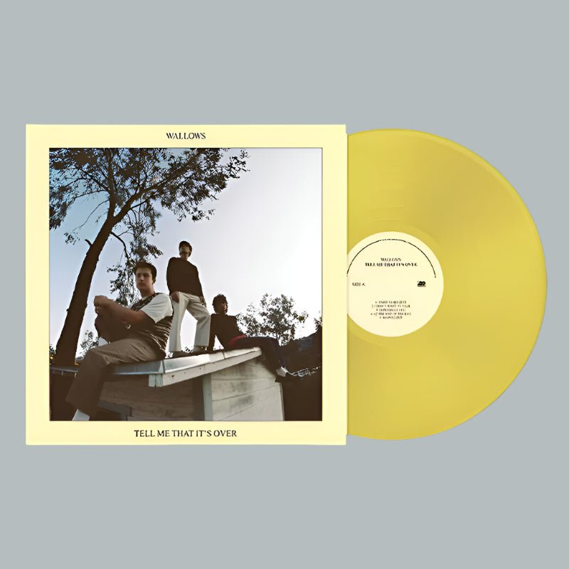 Wallows Tell Me That It's Over - Vinyl LP Record { vinyl }